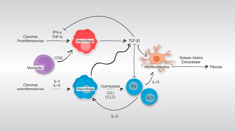 A poster showing a diagram of a cigarette lighter and a blue vase.

Contenido generado con IA
