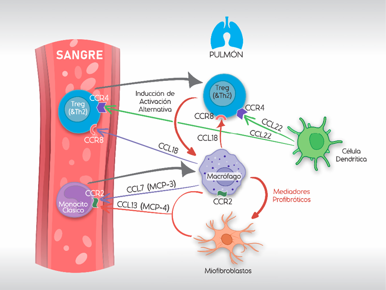 A poster showing a diagram of a cigarette lighter and a blue vase.

Contenido generado con IA