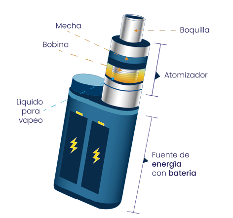 Figura 3