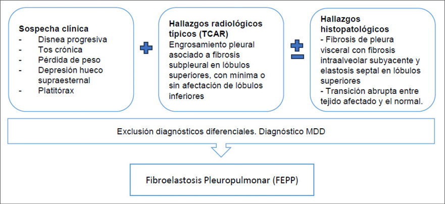 Figura 7
