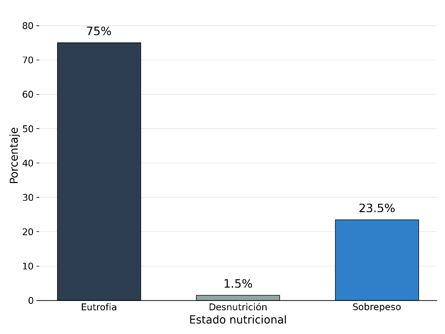Figura 1